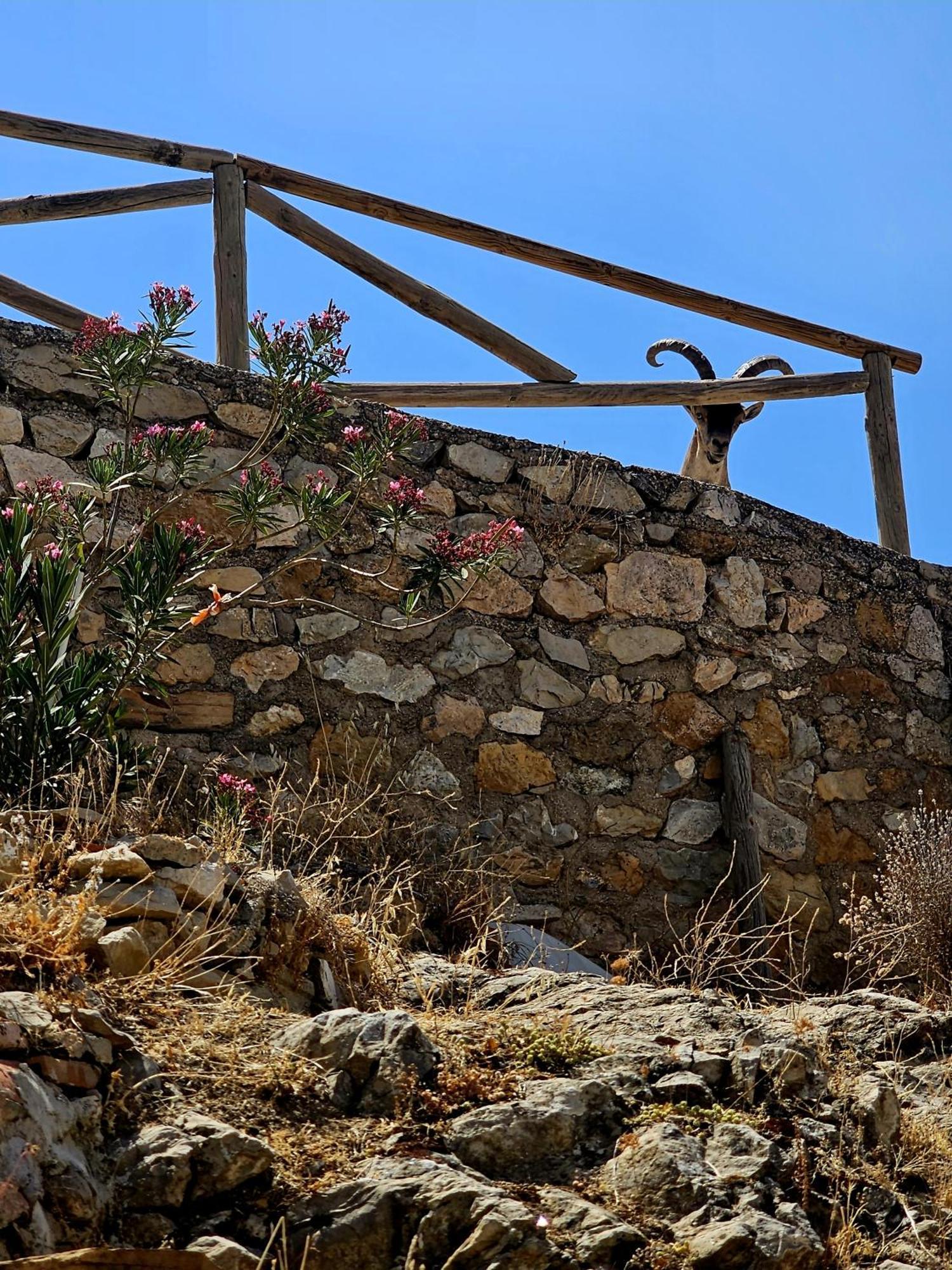 La Mocha Casa Rural La Casa De Ani La Iruela Eksteriør bilde